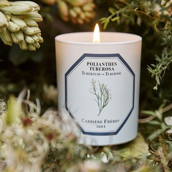 Tuberose Candle Hot on Sale - Image 5
