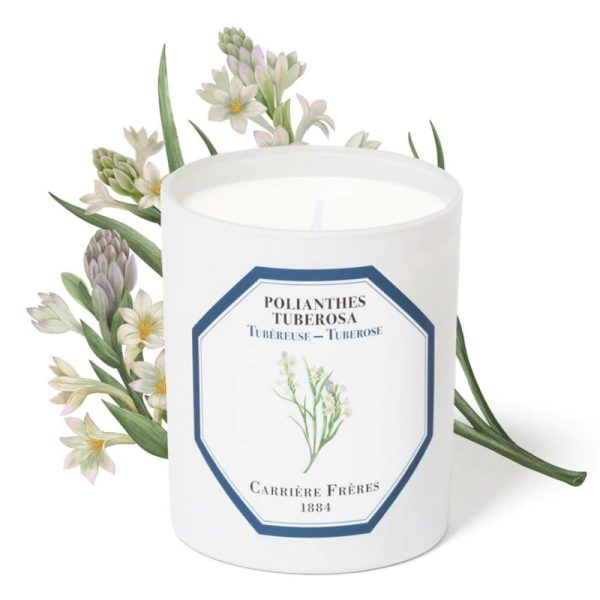 Tuberose Candle Hot on Sale - Image 3