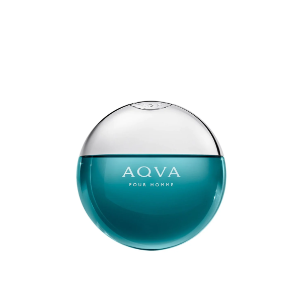 Bvlgari Aqva For Men Eau De Toilette 100ml For Cheap